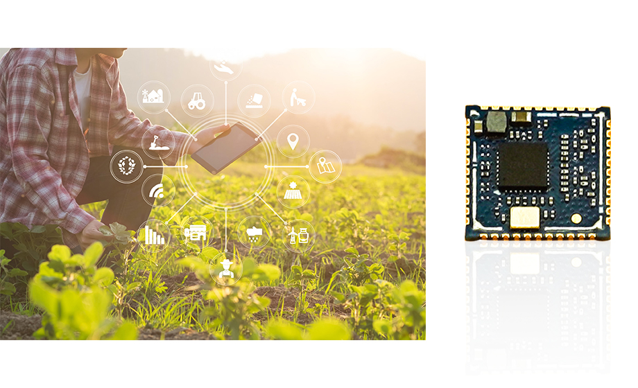 2km wifi wireless module wifi module strong anti-interference let you say goodbye to interference troubles 2km wifi wireless module wifi module strong anti-interference let you say goodbye to interference troubles